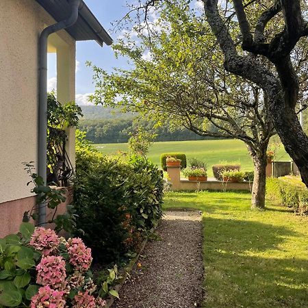 Drachenbronn-Birlenbach La Maison Des Roses מראה חיצוני תמונה