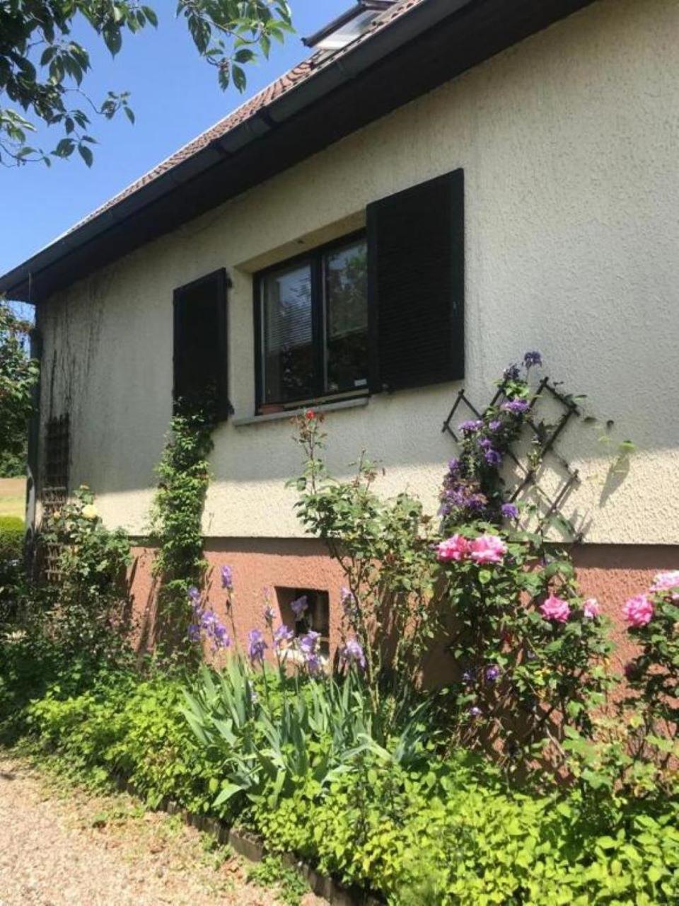 Drachenbronn-Birlenbach La Maison Des Roses מראה חיצוני תמונה
