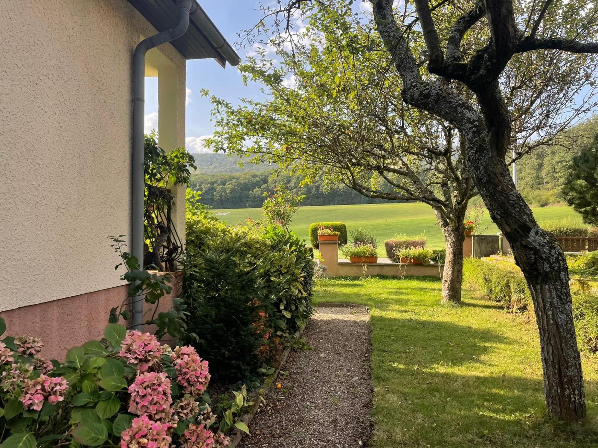 Drachenbronn-Birlenbach La Maison Des Roses מראה חיצוני תמונה
