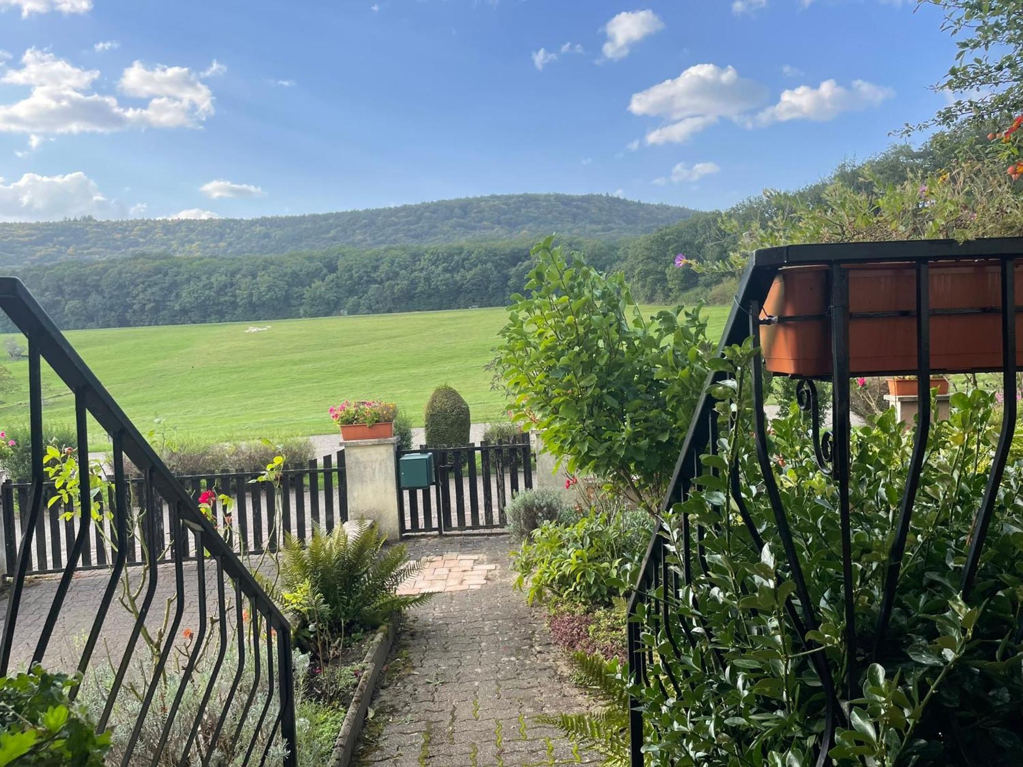 Drachenbronn-Birlenbach La Maison Des Roses מראה חיצוני תמונה