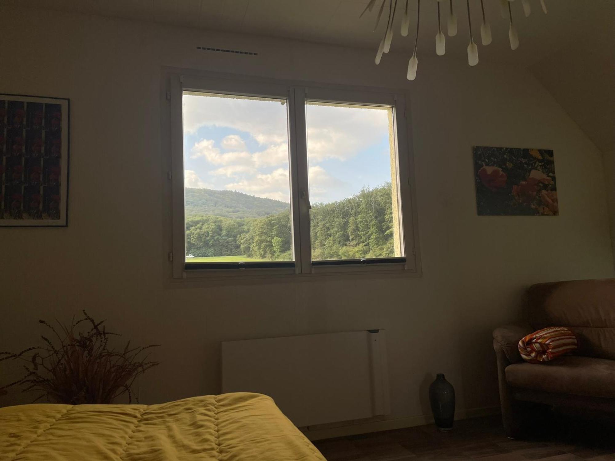 Drachenbronn-Birlenbach La Maison Des Roses מראה חיצוני תמונה